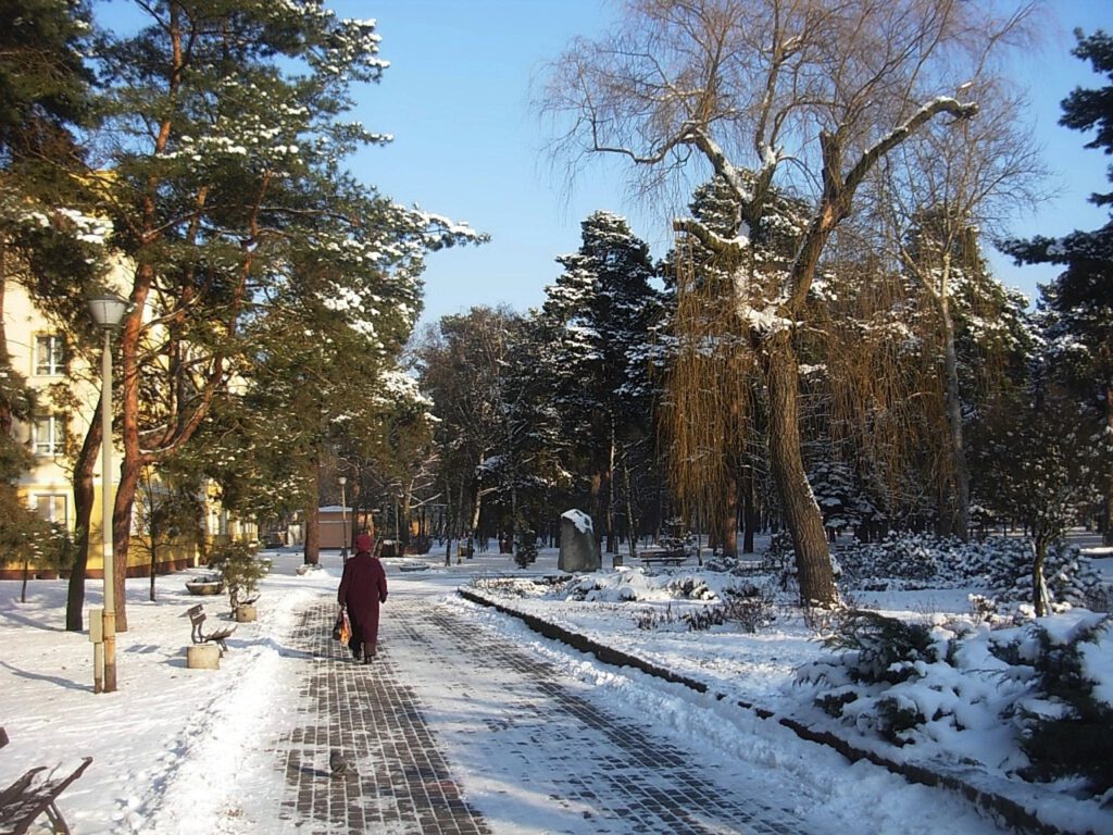 Frau lÃ¤uft im Winter auf einem SchneegerÃ¤umten Weg