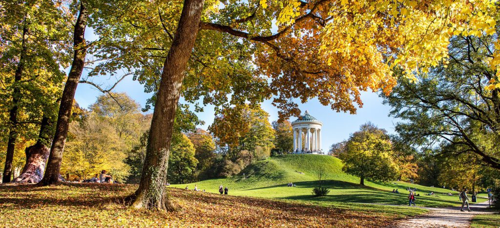 fall, leaves, multicoloured-2863484.jpg